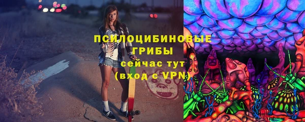 бошки Белокуриха